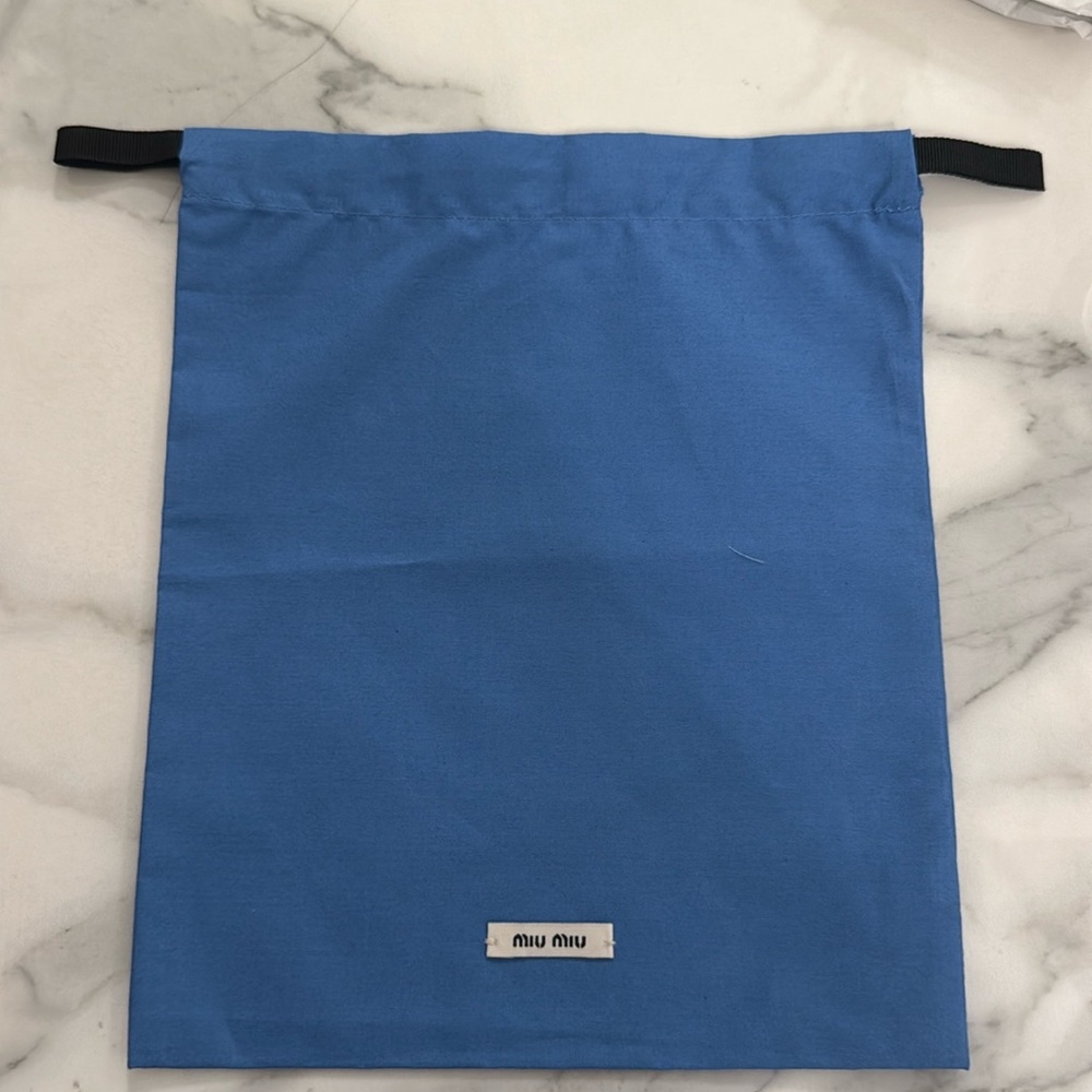 Miu miu pouch.